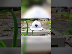 خوذة أمان رأس العمل المضادة للصدمات EN397 6 نقاط تعليق للطاقة الكهربائية